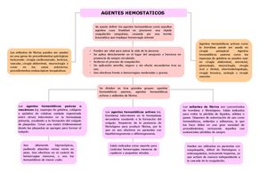 Tema Colposcopia La Colposcopia Es Un Estudio Din Mico Por Im Genes