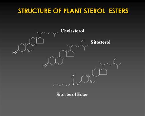 Ppt Basics Of Lipid And Lipoprotein Metabolism Powerpoint