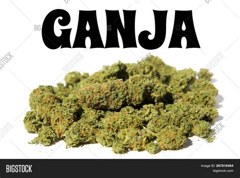 Ganja Marijuana. Close Image & Photo (Free Trial) | Bigstock