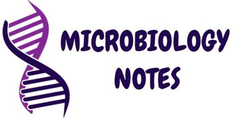 Biogeochemical Iron Cycle Microbiology Notes