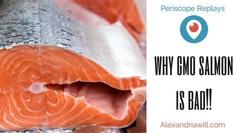 Why GMO Salmon is Bad - AlexandriaWill