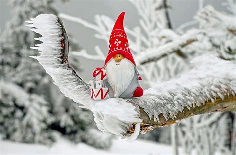 Tomte på trädet Gratis Julkort