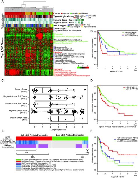 Integrative Analysis Across Multiple Molecular Data Platforms Provides