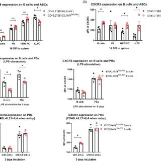 Altered Expression Of CXCR3 And CXCR4 On ASCs Differentiated From B