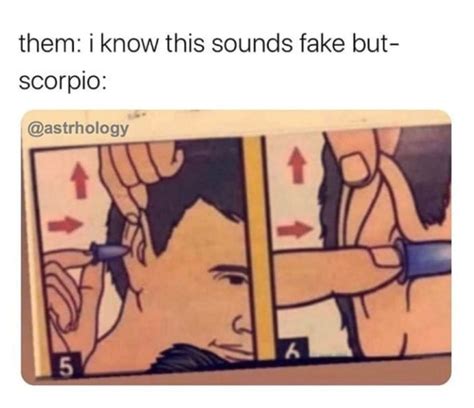 Scorpio Memes That Ll Leave You Saying It Me Darcy