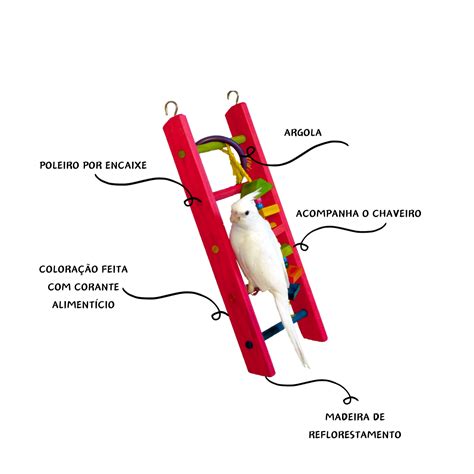 Escada Rosa Encanto Das Aves Brinquedos Encanto Das Aves Brinquedos