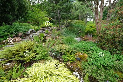 Scènes modèles comment fleurir les abords d un escalier Hortus