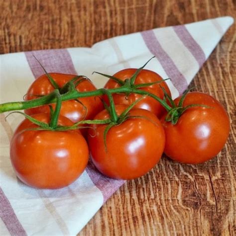 Tomates Grappe France Les Fermes