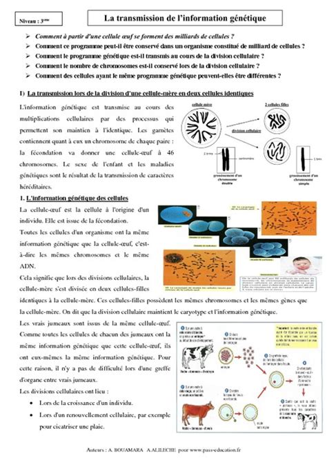 Transmission de l information génétique 3ème Cours SVT Brevet