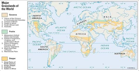 Savanna Ecological Region