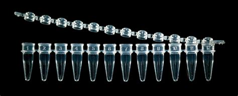 Pcr Tubes Ideal For Mrna And Qpcr