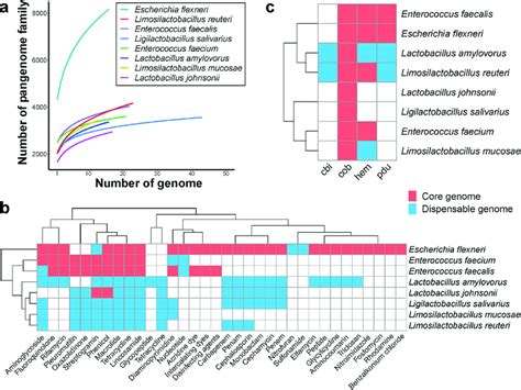 The Function Distribution Of Genes In Pangenome Analysis Of 8 Species