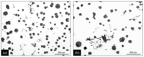 Materials Free Full Text Chunky Graphite In Low And High Silicon Spheroidal Graphite Cast