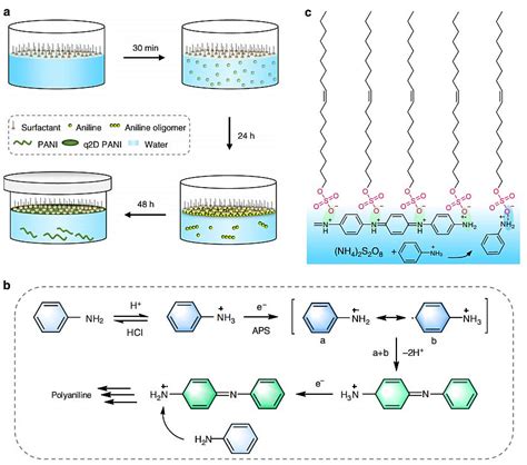 A Method To Achieve The Synthesis Of 2d Conducting Polymer Single