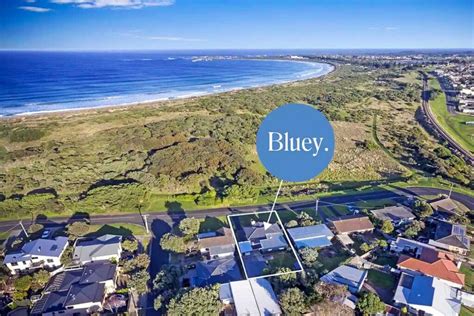 Bluey House | Great Ocean Road Pet Friendly Accommodation