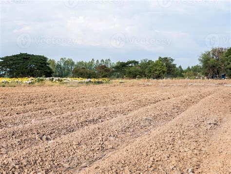 dry soil furrow  stock photo  vecteezy