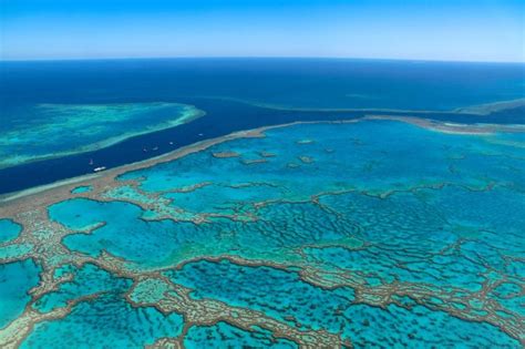 Australiens Great Barrier Reef Faszination Unterwasserwelt