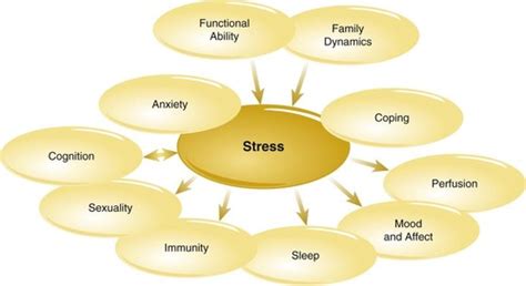 Stress Coping Flashcards Quizlet