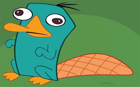 Perry The Platypus Agent P Phineas And Ferb Platypus Hd Wallpaper