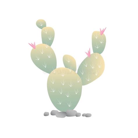 Modello Senza Cuciture Di Fioritura Del Cactus Disegno Della Mano