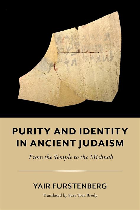 buy purity  identity  ancient judaism   temple