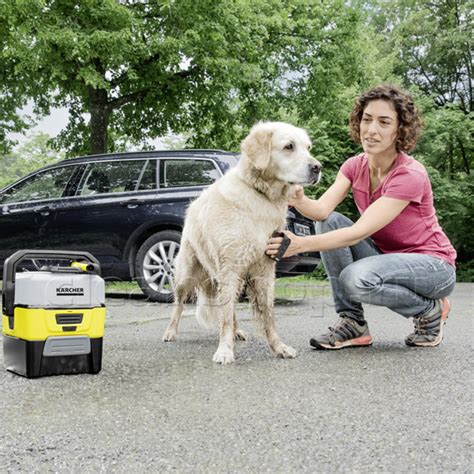 Щетка для чистки шерсти животных, Karcher | 2.643-874.0 ...