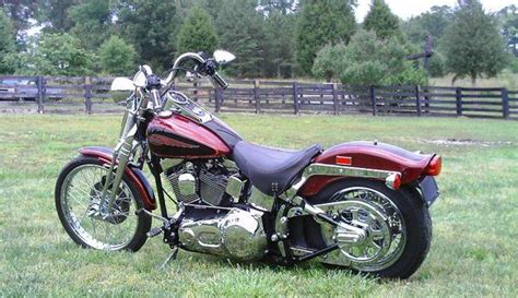 Harley Davidson Fxsts Springer Softail Image