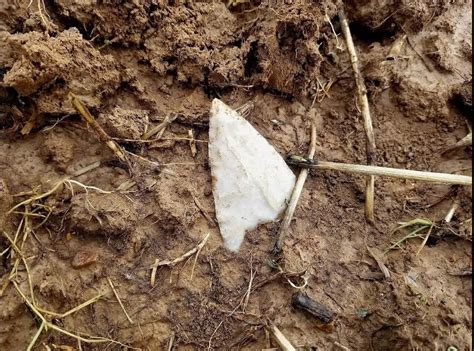 How To Find ARROWHEADS In The Woods: Arrowhead Hunting Guide!