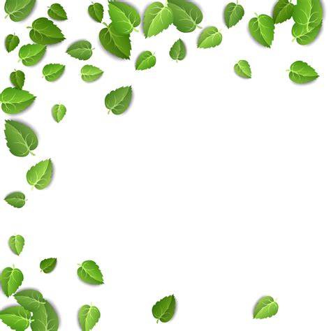 Flying Green Leaves On White Background Spring Leaf Pattern On