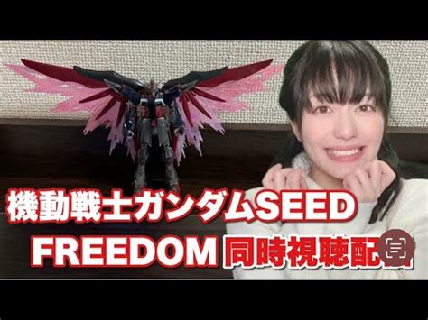 Seed Freedom Youtube