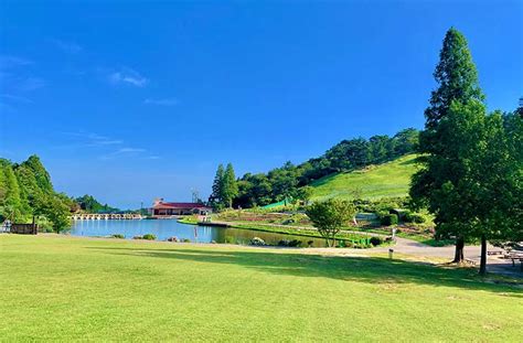 【神戸】六甲山に「greeniaグリーニア」がオープン！アスレチックは160種類以上♪｜兵庫県はりまエリア姫路・加古川などの地域情報