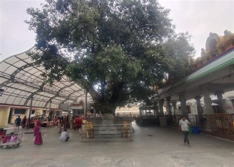 Banashankari Amma Temple Bangalore - Info History Photos