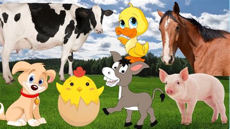 Funny Farm Animal Moments Cow Dog Chicken Duck Horse Cat Sheep