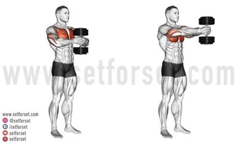 Chest Exercises At Home Without Weights