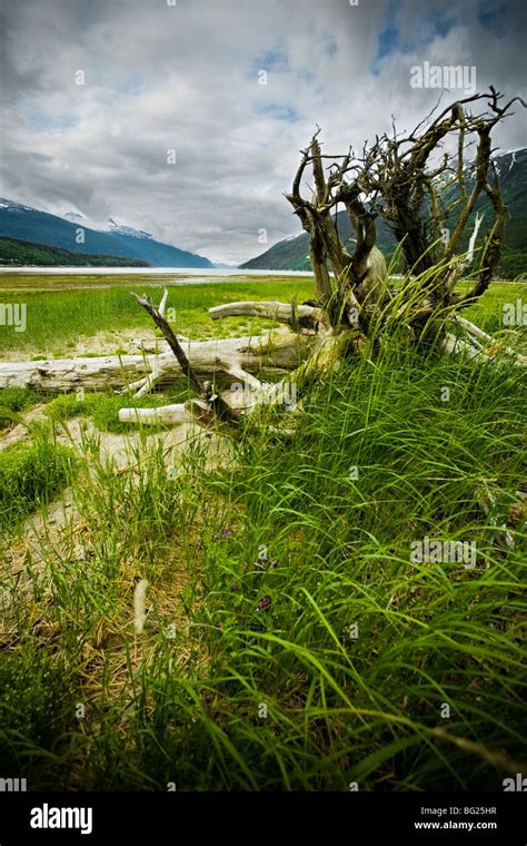 Skagway Dyea Fotografías E Imágenes De Alta Resolución Alamy