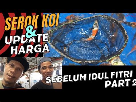 Update Harga Jelang Idul Fitri Pasar Ikan Hias Parung YouTube