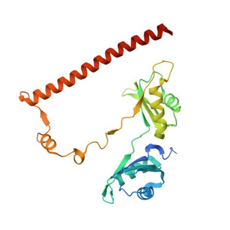 Gene Q Protein Nono Overview Cansar Ai