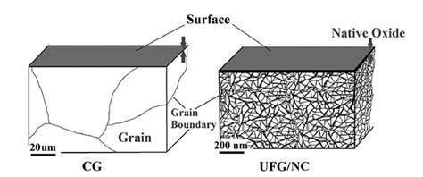 Schematic Representation Of The Differences Of Coarse Grained Cg And