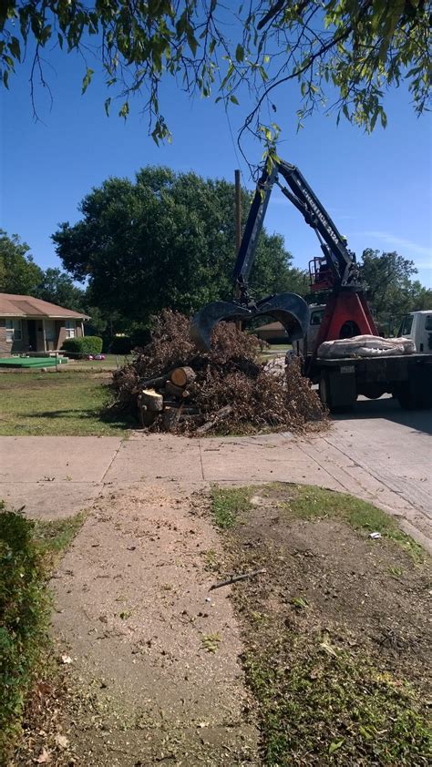 City Sanitation crews working to collect storm debris - Dallas City News