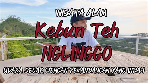 Kebun Teh Nglinggo Kulon Progo Yogyakarta Bukit Ngisis