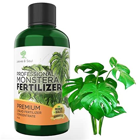 Best Fertilizer For Monstera Top Choices For Lush Growth Foliage