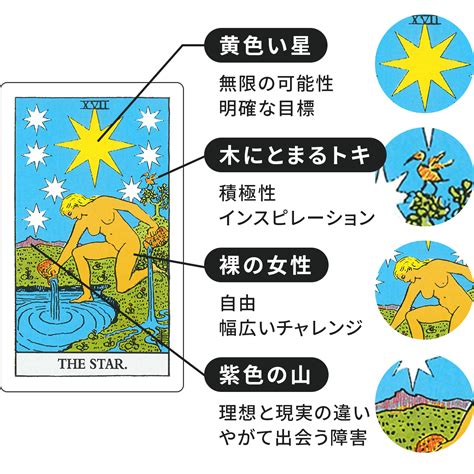 タロットカード【星】正位置・逆位置の意味とキーワードをまとめて解説 Cocoloni占い館 Sun