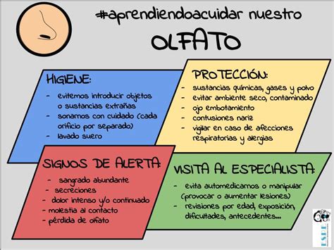 Formas De Cuidar El Sentido Del Gusto Y El Olfato