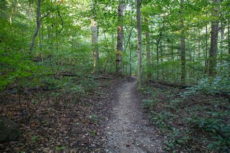 Hiking At Brandywine Creek State Park Delawarestateparksblog