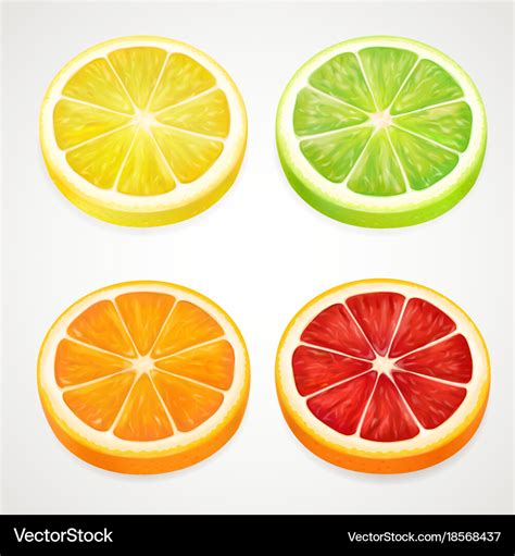 Citrus Slices Realistic Lemon Orange Lime Vector Image