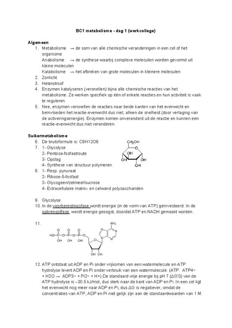 Werkcollege Bc Metabolisme Dag Bc Metabolisme Dag