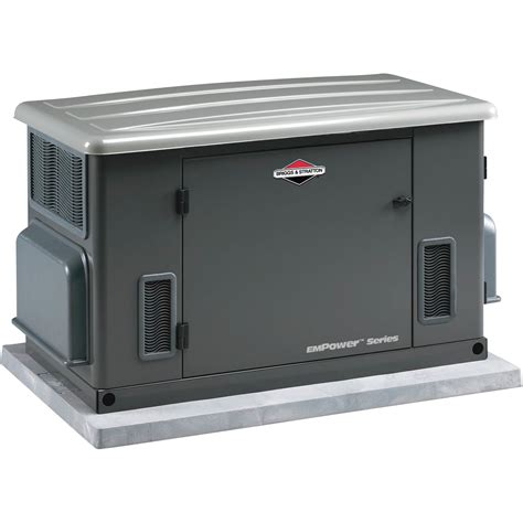 Briggs Stratton Home Standby Dual Fuel Generator With Vanguard Engine