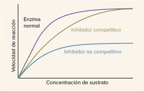 Gr Fica De Inhibici N No Competitiva