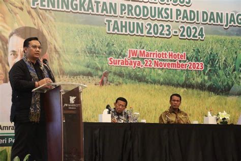 Mentan Amran Genjot Kembali Upsus Percepatan Produksi Padi Dan Jagung