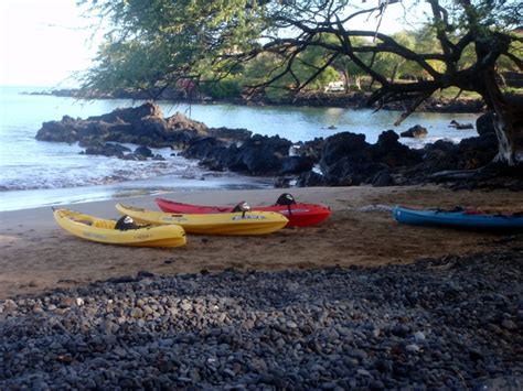 South Maui Whale Watch Kayaking And Snorkel Tour In Kihei Getyourguide